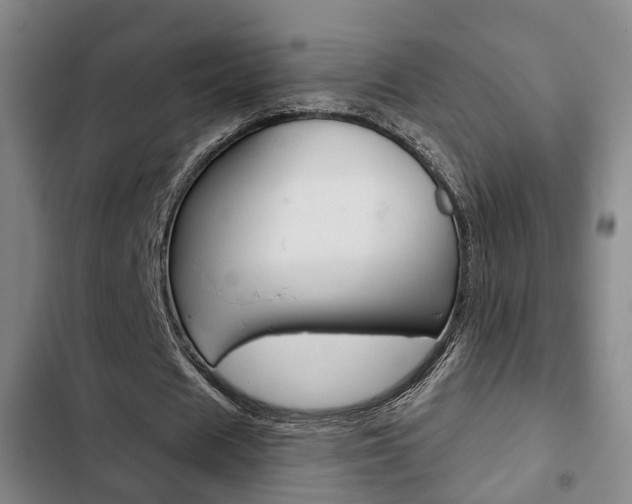 X0000103220625200808280927