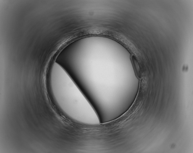 X0000103220626200808280927