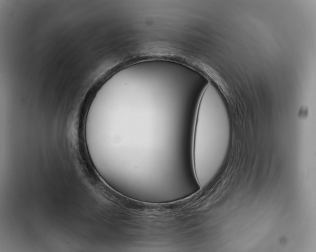 X0000103220627200808280927
