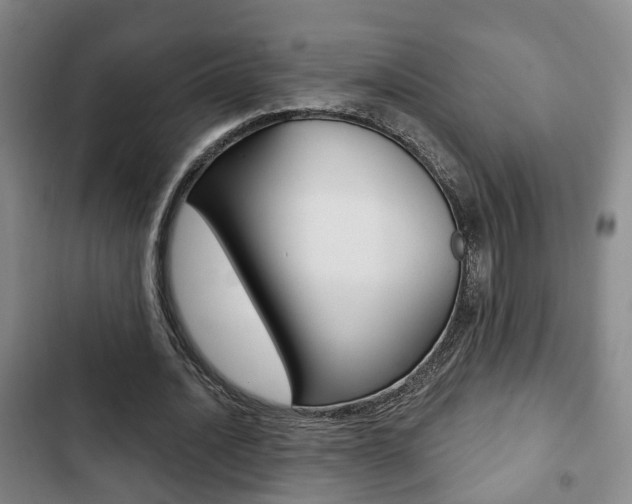 X0000103220628200808280927