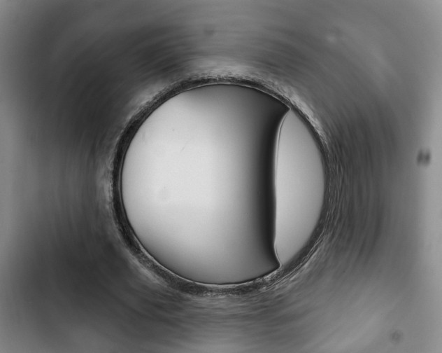 X0000103220629200808280927