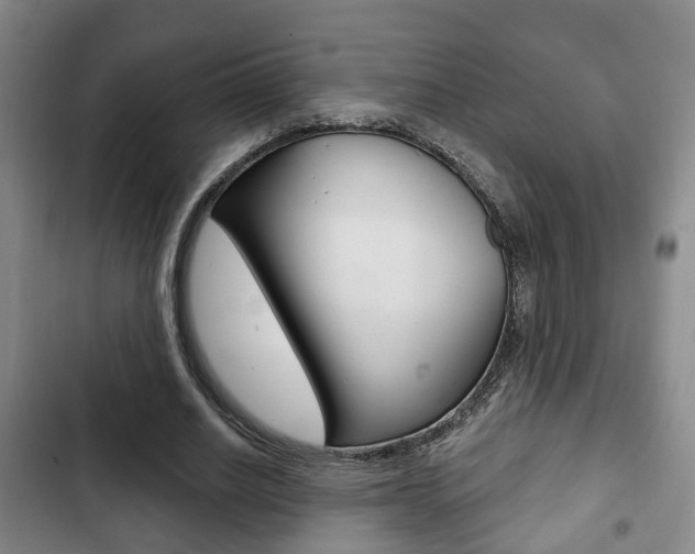 X0000103220630200808280927