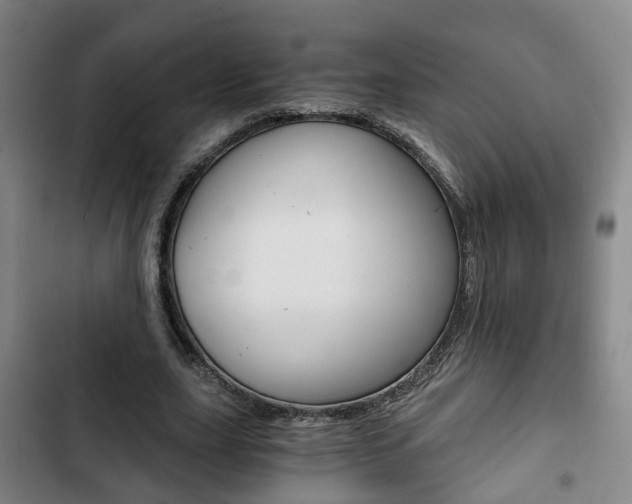 X0000103220631200808280927