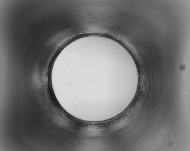 X0000103220632200808280927