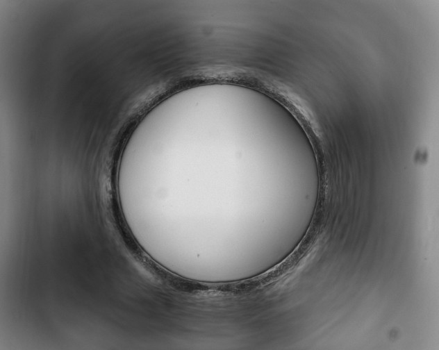 X0000103220633200808280927