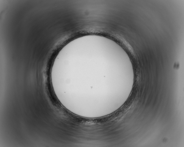 X0000103220635200808280927