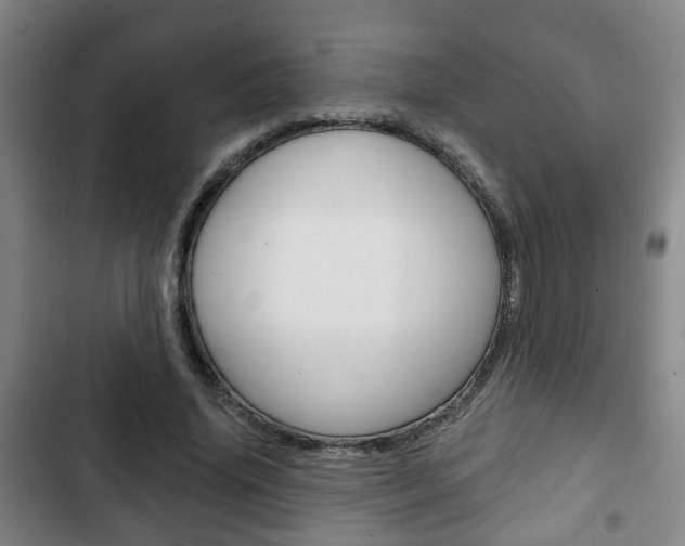 X0000103220636200808280927