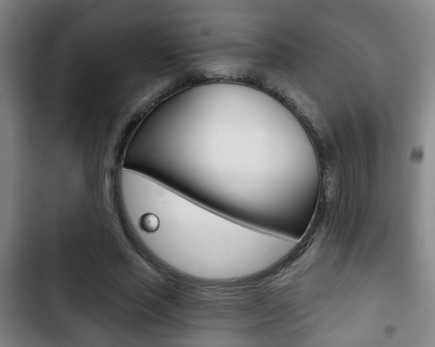 X0000103220637200808280927