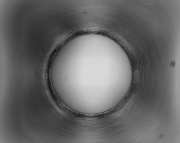 X0000103220638200808280927