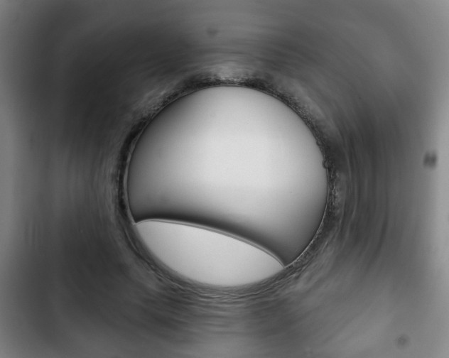 X0000103220639200808280927
