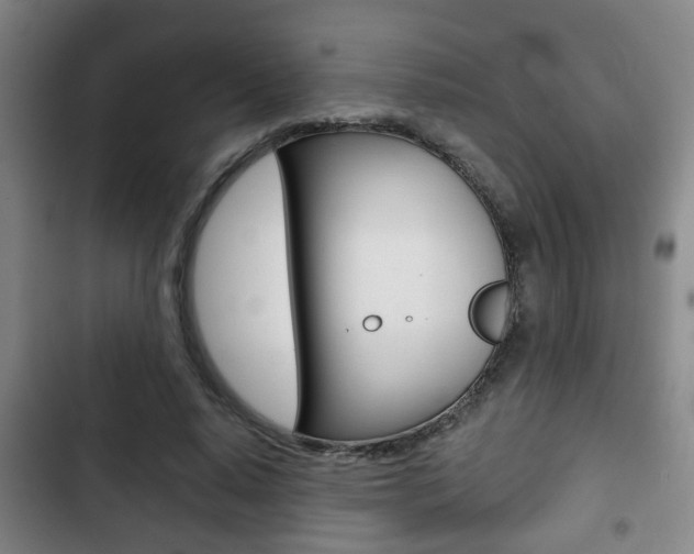 X0000103220640200808280927