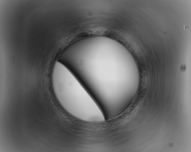 X0000103220641200808280927