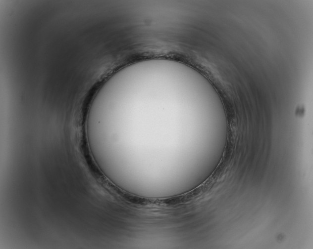 X0000103220642200808280927