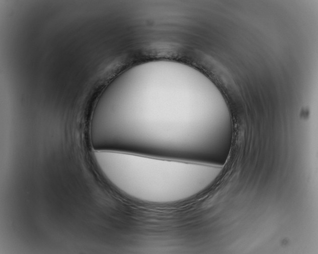 X0000103220643200808280927