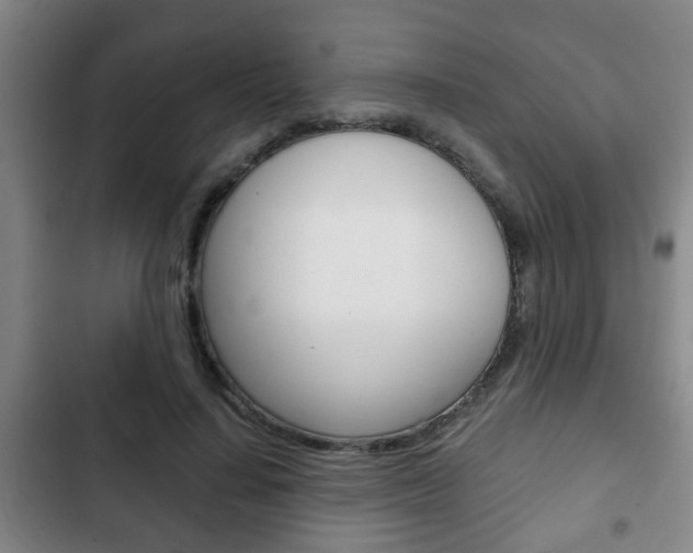 X0000103220644200808280927