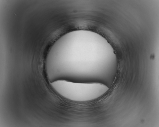 X0000103220645200808280927