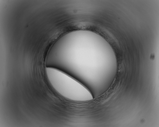 X0000103220646200808280927