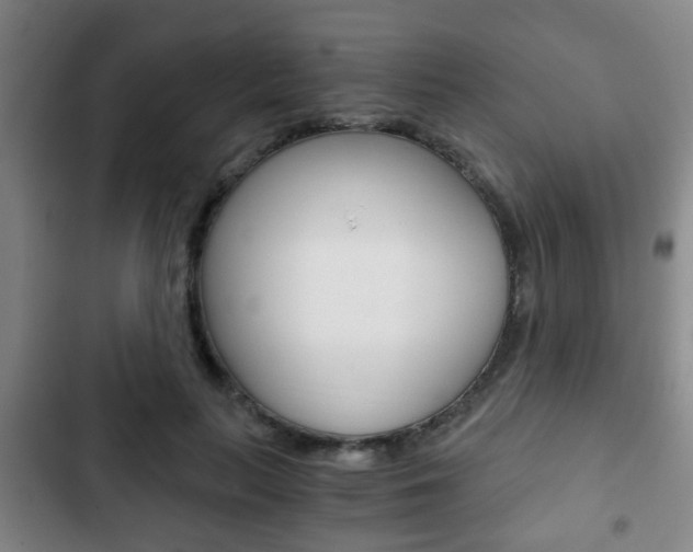 X0000103220647200808280927