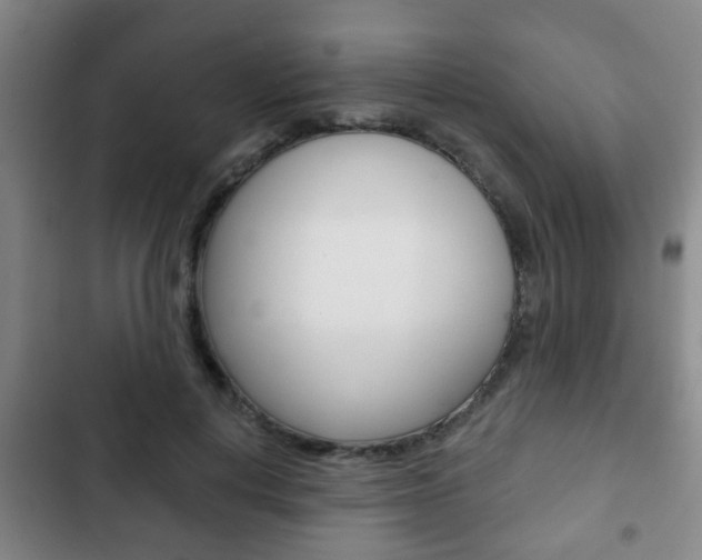 X0000103220648200808280927
