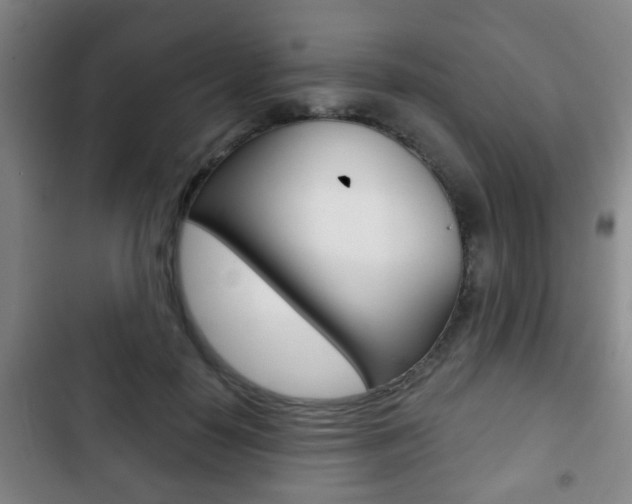 X0000103220650200808280927