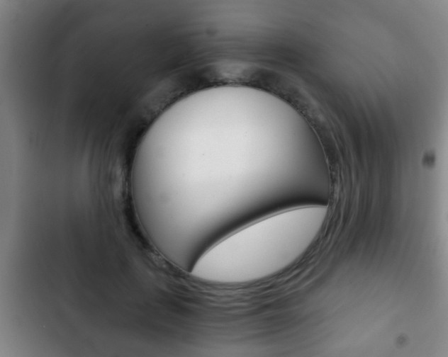 X0000103220651200808280927