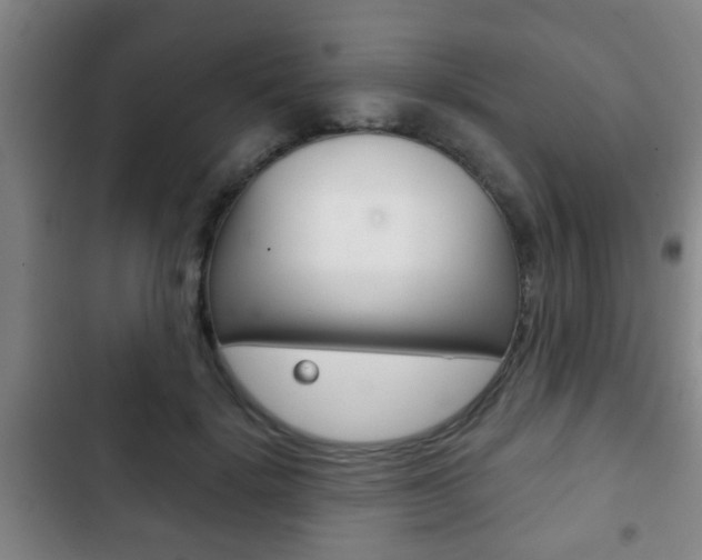 X0000103220652200808280927