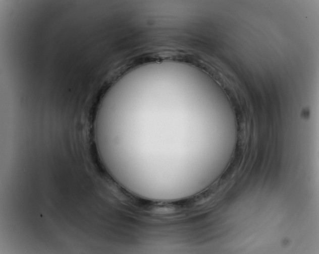 X0000103220653200808280927
