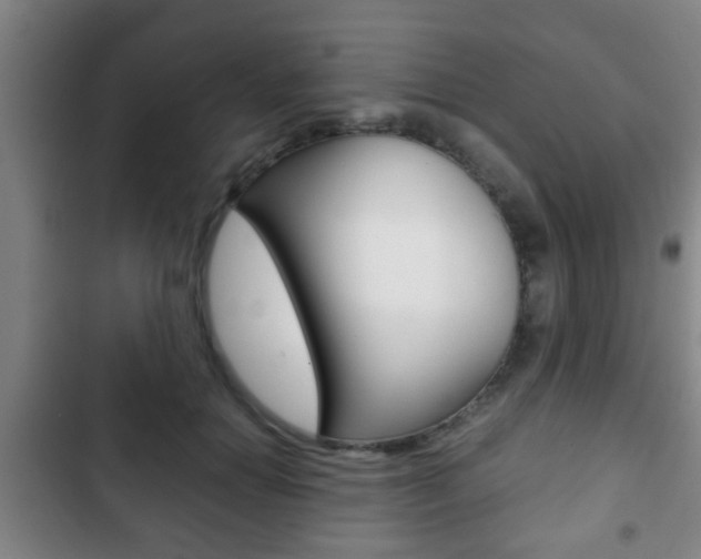 X0000103220654200808280927