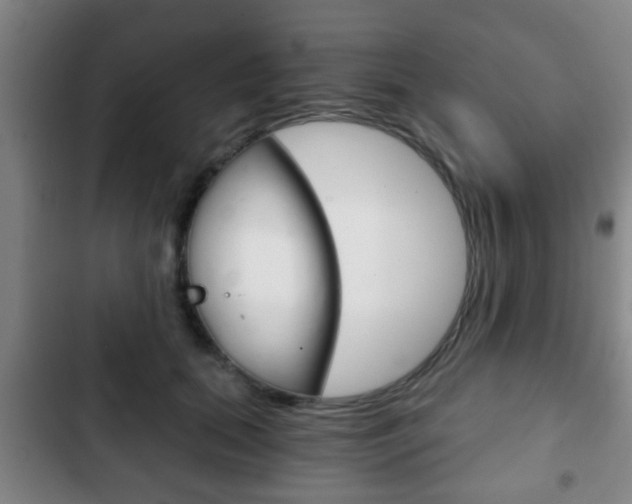 X0000103220655200808280927