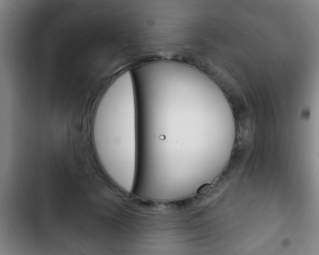 X0000103220656200808280927