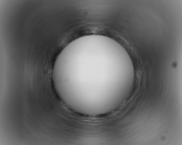 X0000103220657200808280927