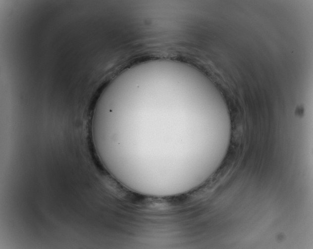X0000103220658200808280927