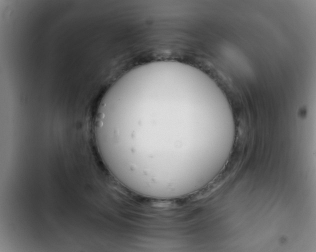 X0000103220659200808280927