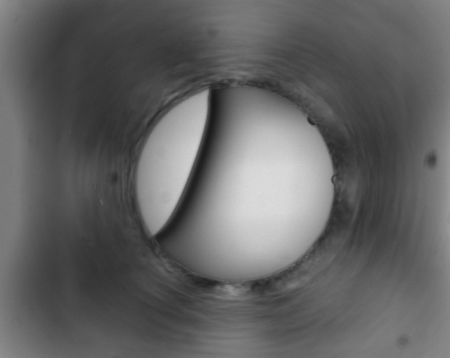 X0000103220660200808280927