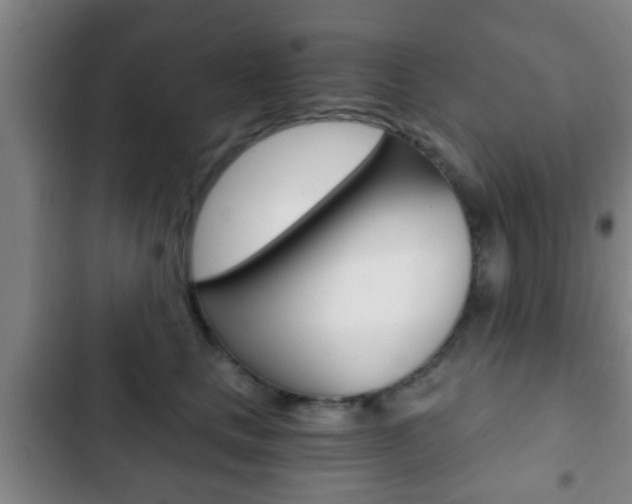 X0000103220661200808280927