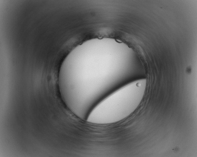 X0000103220665200808280927