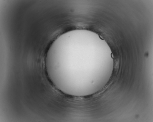 X0000103220666200808280927
