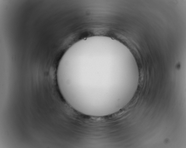 X0000103220667200808280927