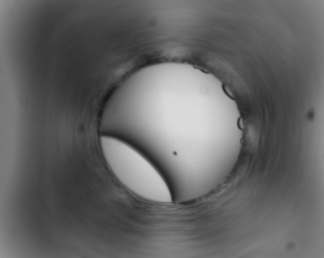 X0000103220668200808280927