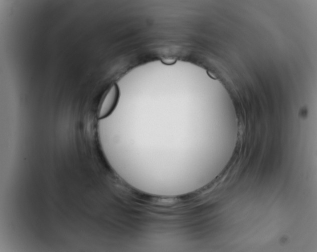 X0000103220671200808280927
