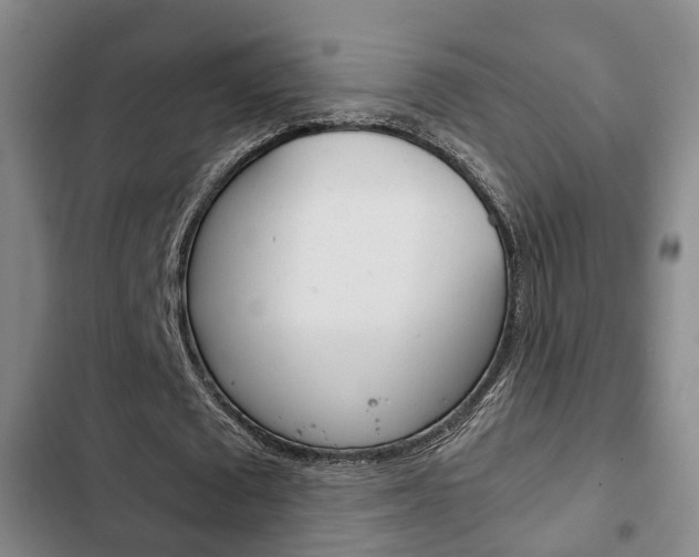 X0000103220673200808280927