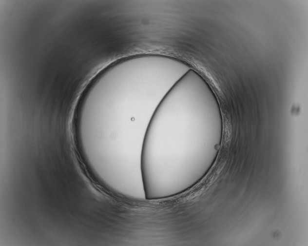 X0000103220674200808280927