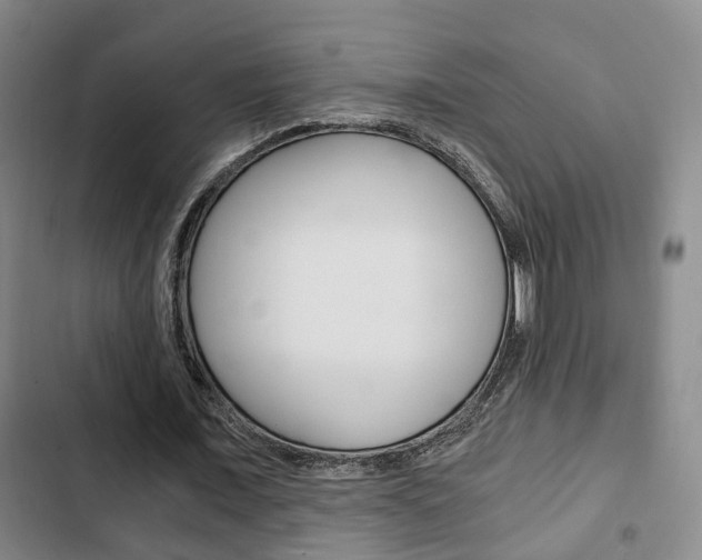 X0000103220675200808280927