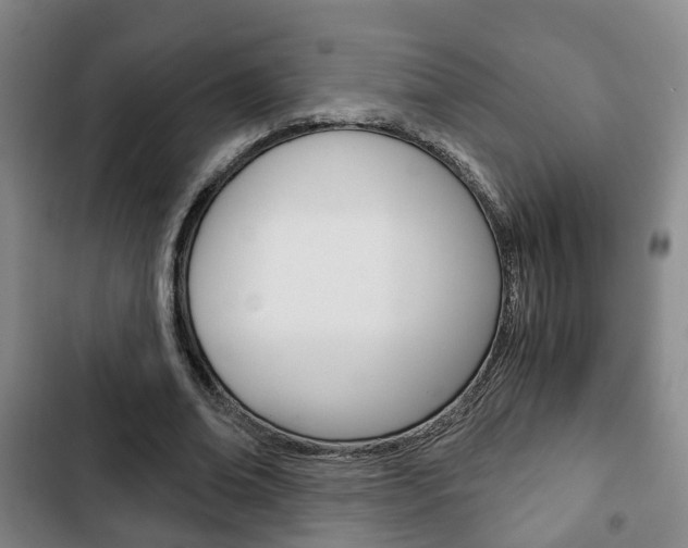 X0000103220678200808280927