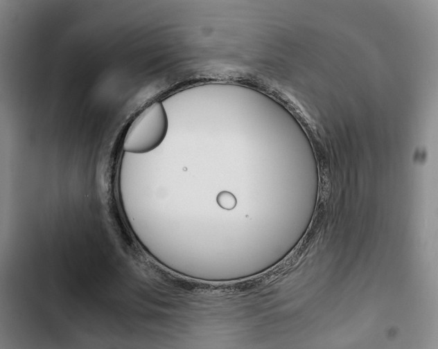 X0000103220679200808280927
