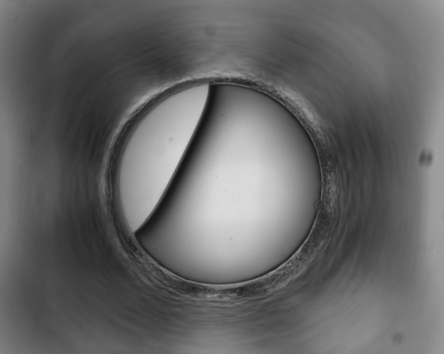 X0000103220680200808280927