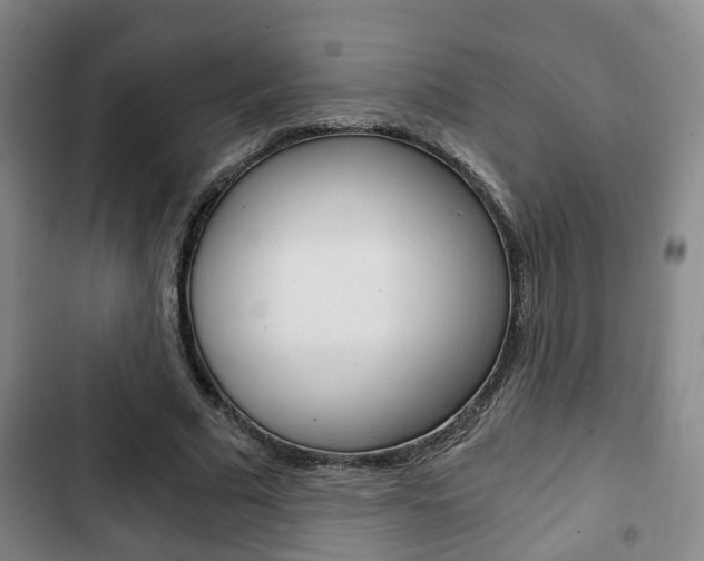 X0000103220681200808280927