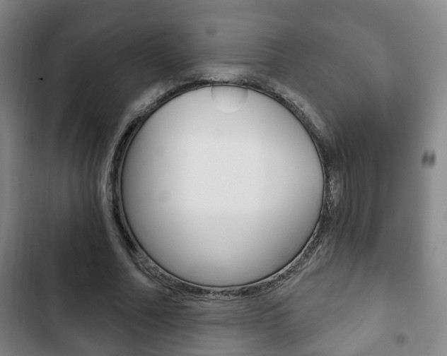 X0000103220682200808280927