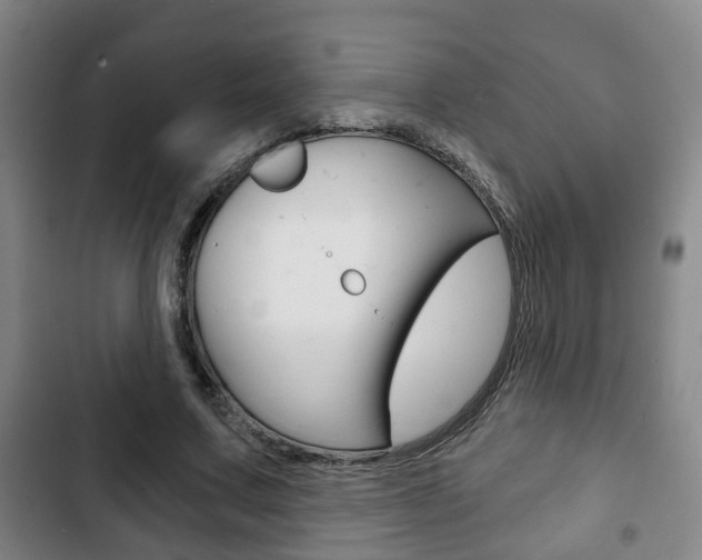X0000103220683200808280927