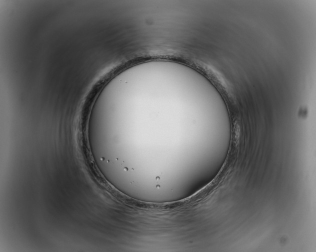 X0000103220684200808280927